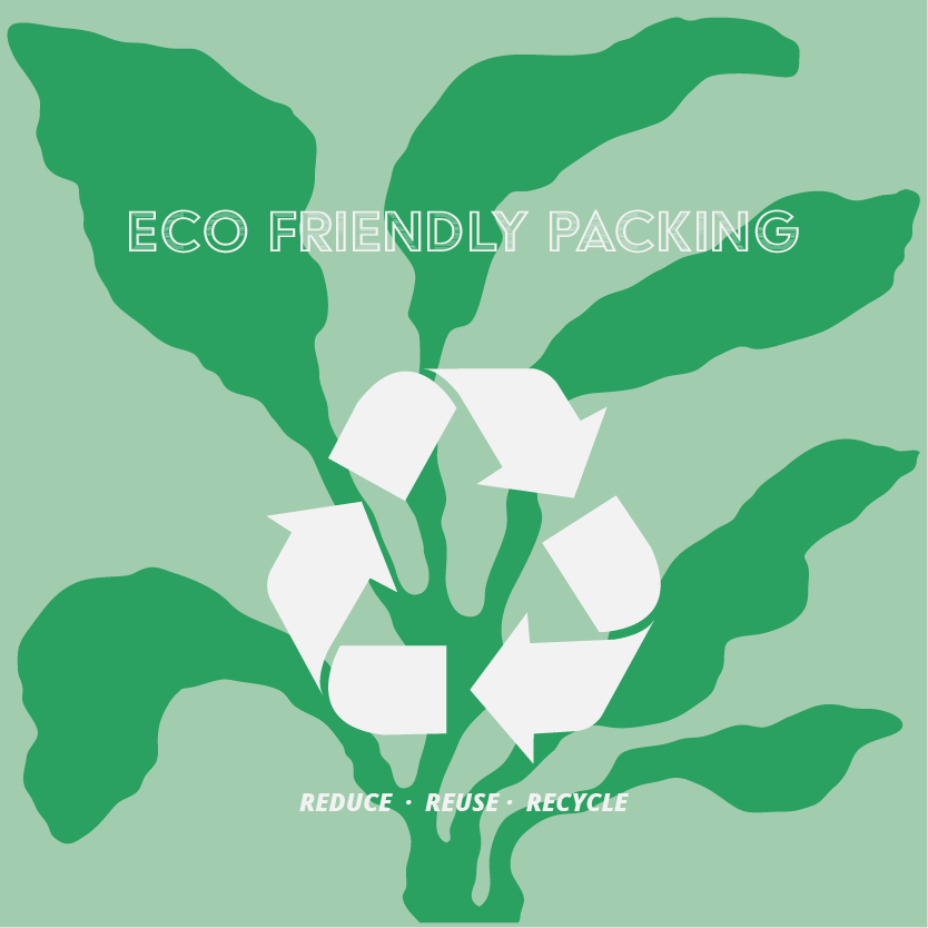 A Look Into Our Eco-Friendly Packaging